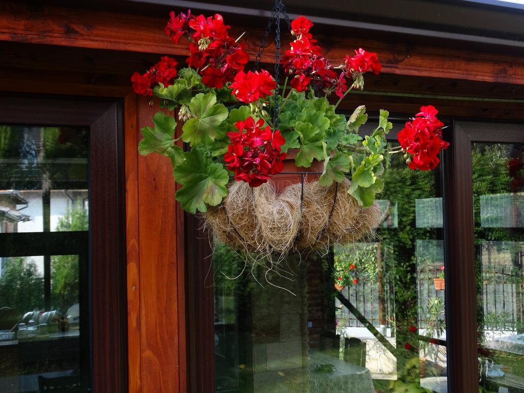 Guest House Ivel Sapareva Banya Εξωτερικό φωτογραφία