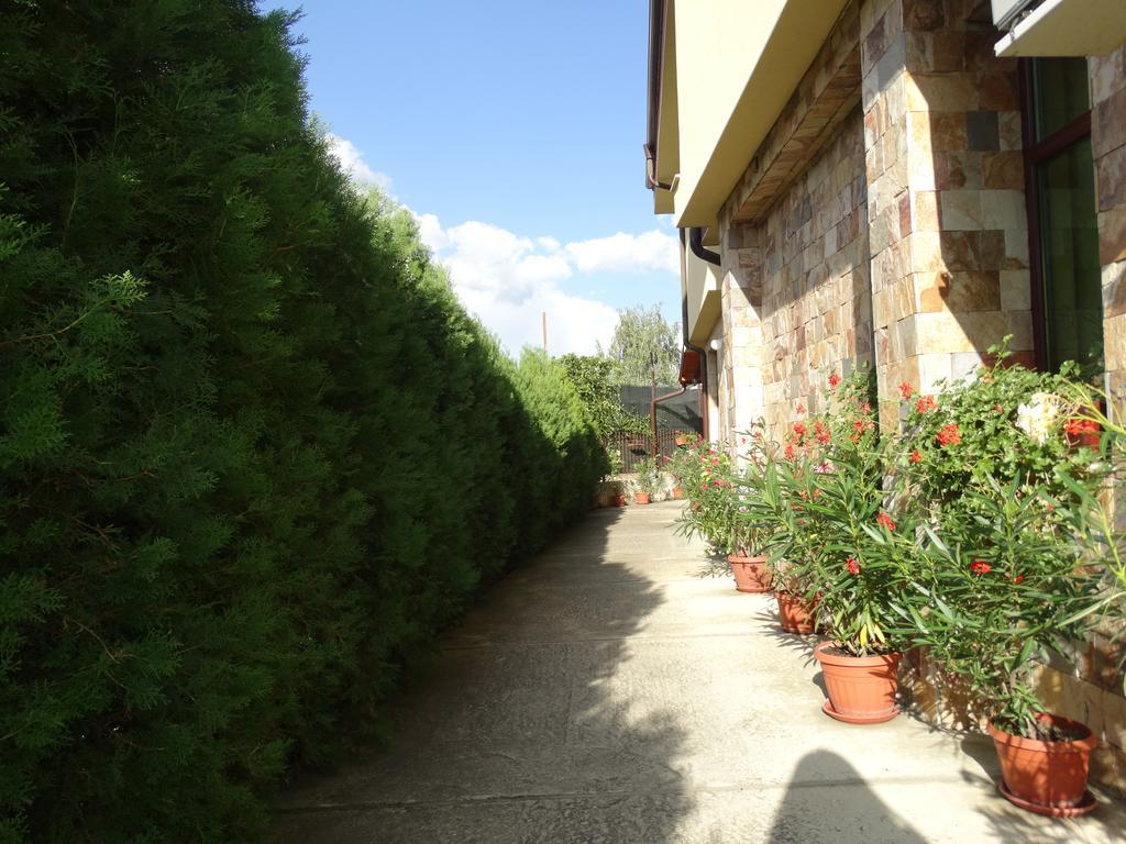 Guest House Ivel Sapareva Banya Εξωτερικό φωτογραφία